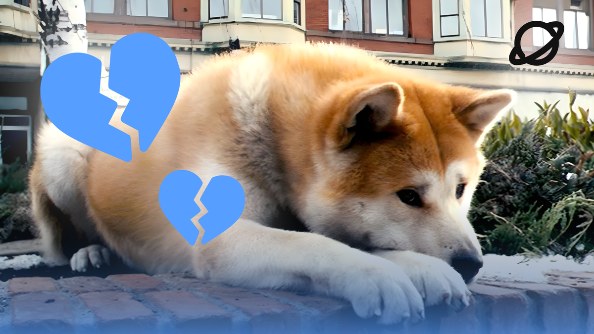 Кадр из фильма "Хатико. Самый верный друг" (2007)