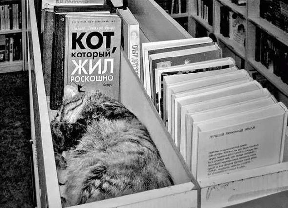 Источник Яндекс картинки