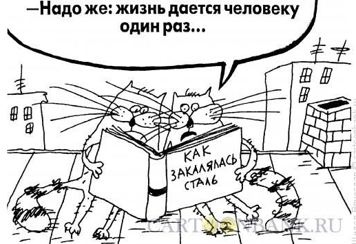 Источник Яндекс картинки