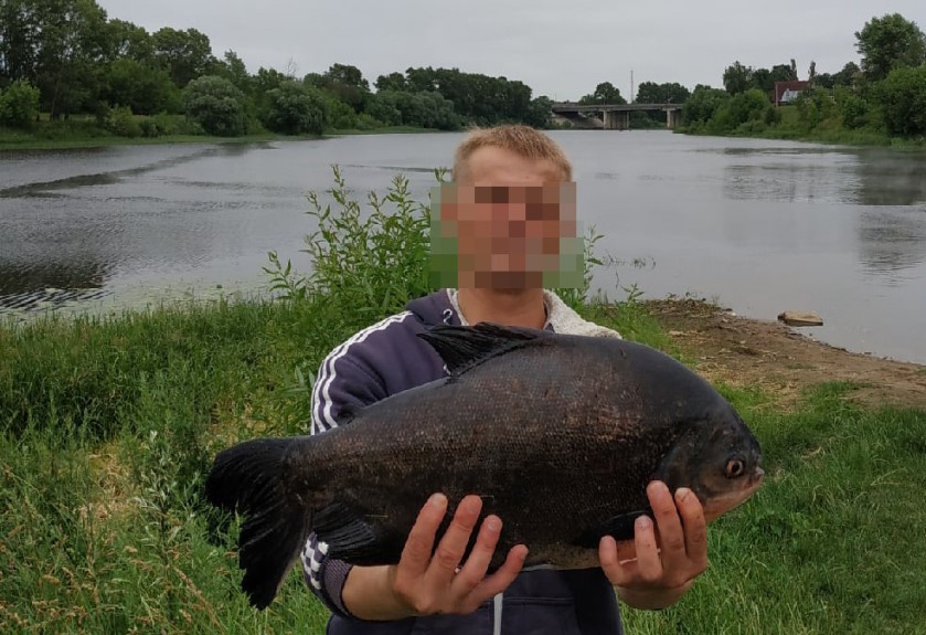 Отчёт рыболова из Тверской области. (Фото: tver24.com).