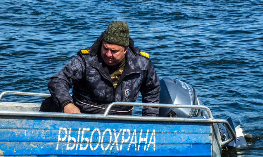 Что ещё нового придумали законотворцы для повышения эффективности работы Рыбоохраны по защите водных ресурсов