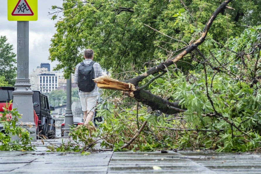    ФОТО: Konstantin Kokoshkin/Globallookpress