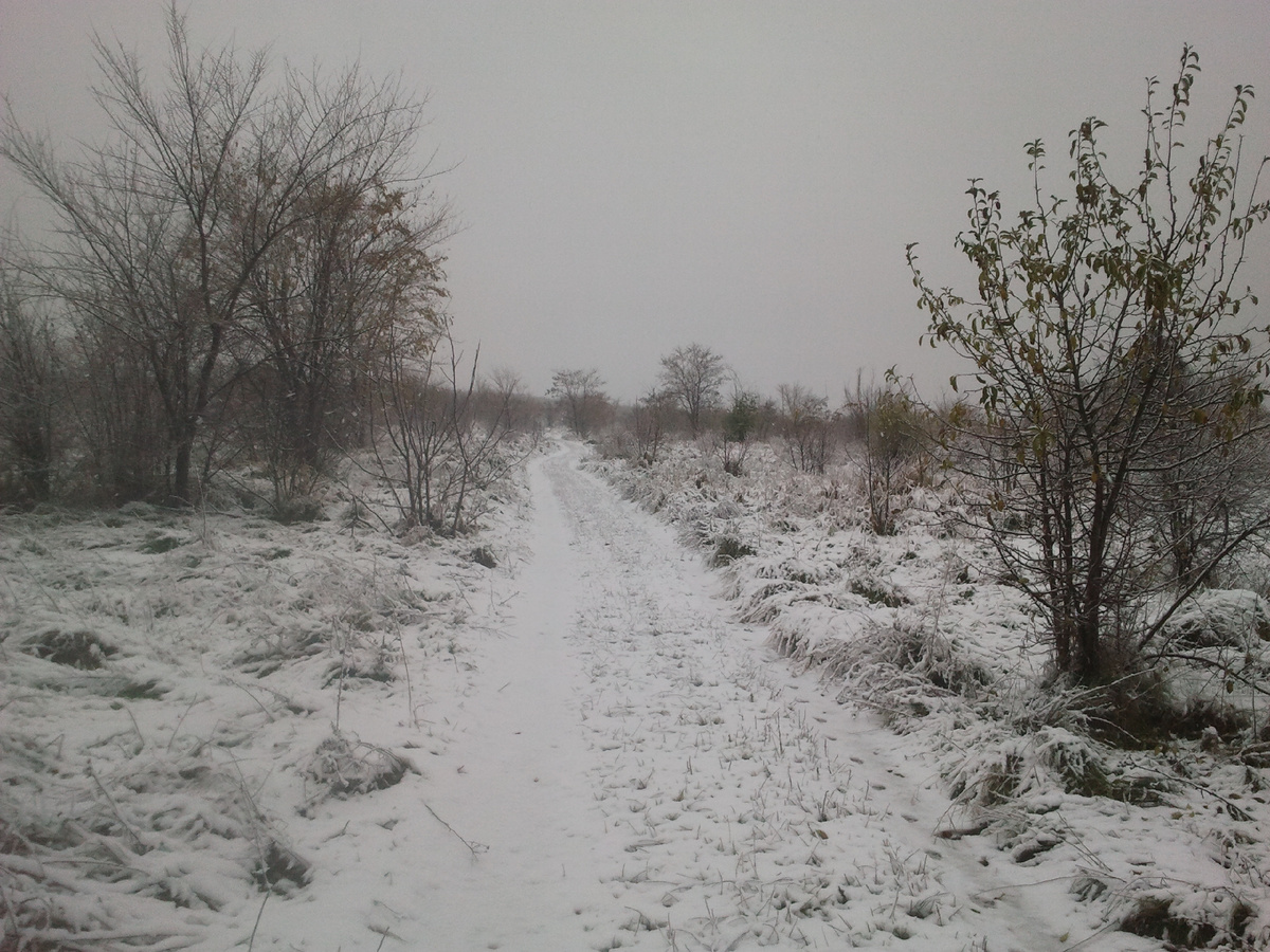 Фото автора