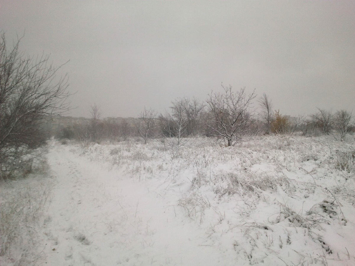 Фото автора