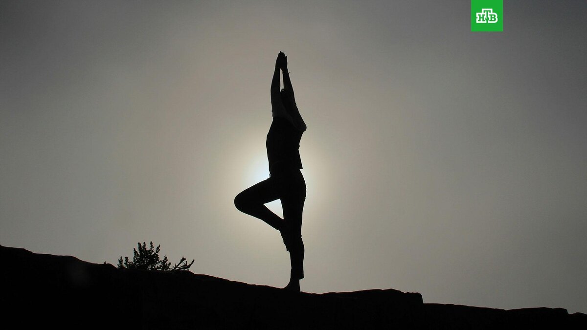    Фото: Patrick Hendry / unsplash.com