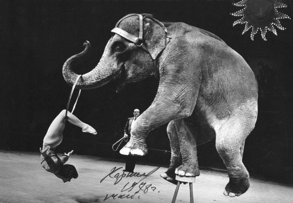  Анатолий Корнилов,аттракцион "Слоны и танцовщицы", 1978 г.од. Фото отсюда https://www.ruscircus.ru/