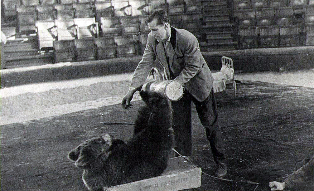 Анатолий Корнилов работает с медведями, фото отсюда https://t.me/kornilov_show