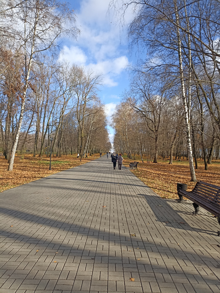 Парк усадьбы Бобринских