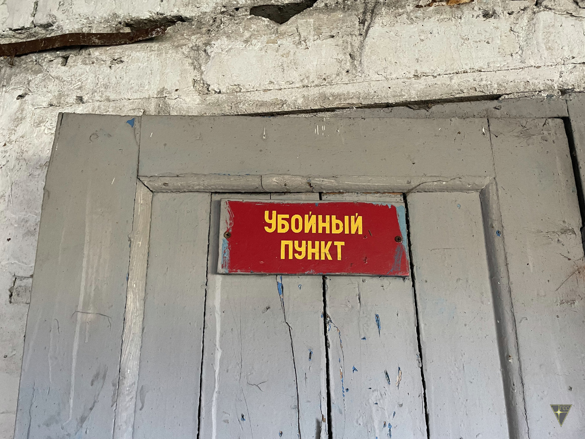 -39