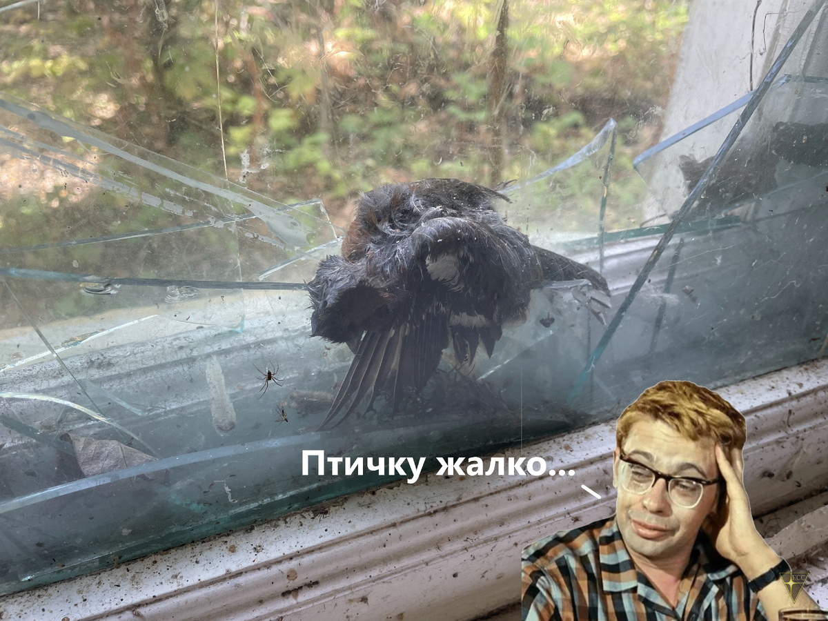 -44