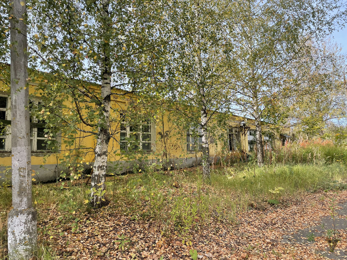 -46
