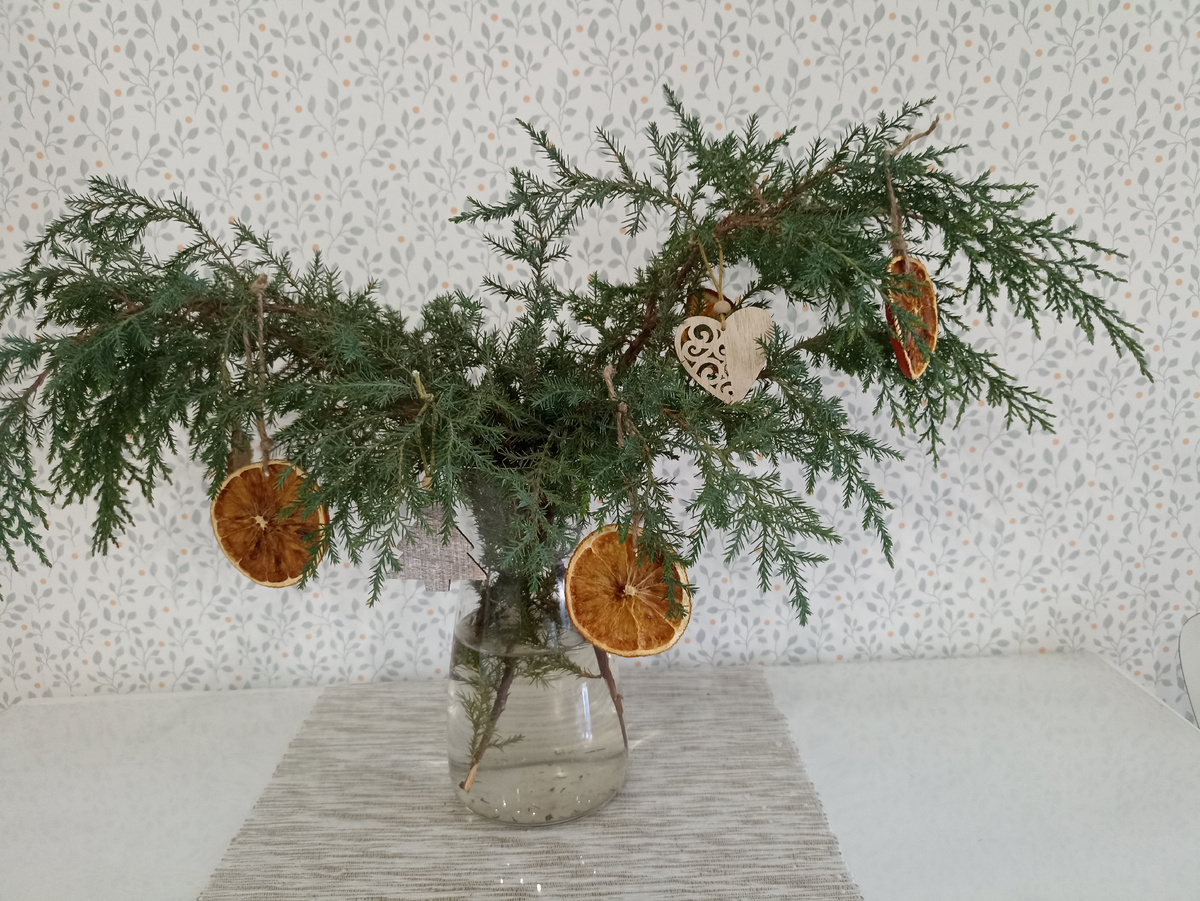 Очень люблю можжевельник!