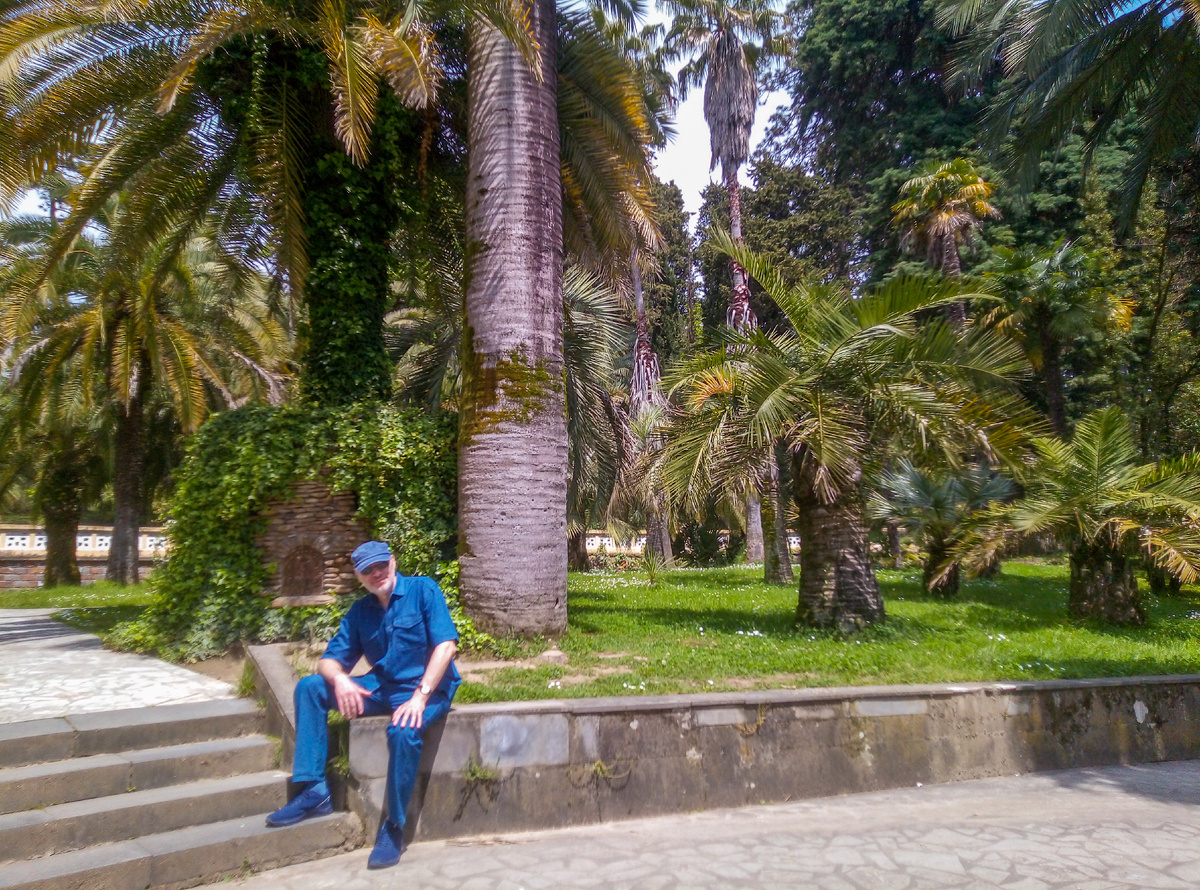 Парк Дендрарий в Сочи, аллея с разными пальмами. Михаил Лекс — автор рассказа и канала