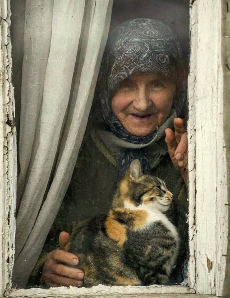 Из свободных источников