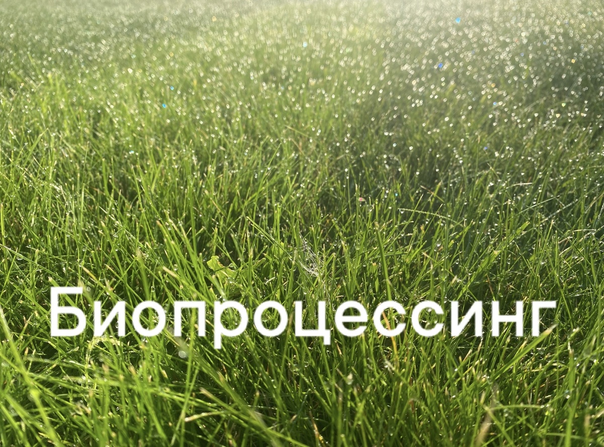 Исцеление терапия осознанностью процессинг биодинамика жизнь как процесс саморазвитие духовное развитие психосоматика