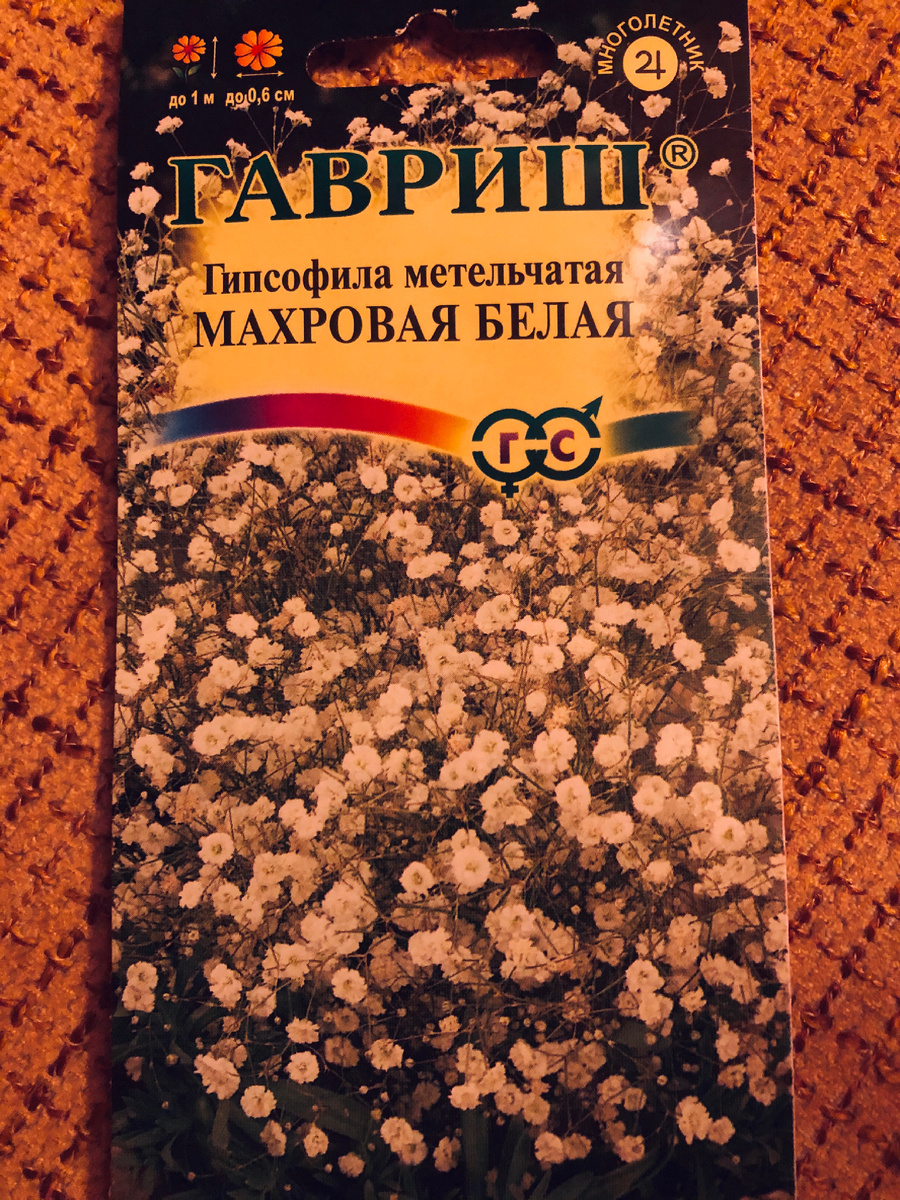 На пакетике с семенами гипсофила выглядела очень красиво.