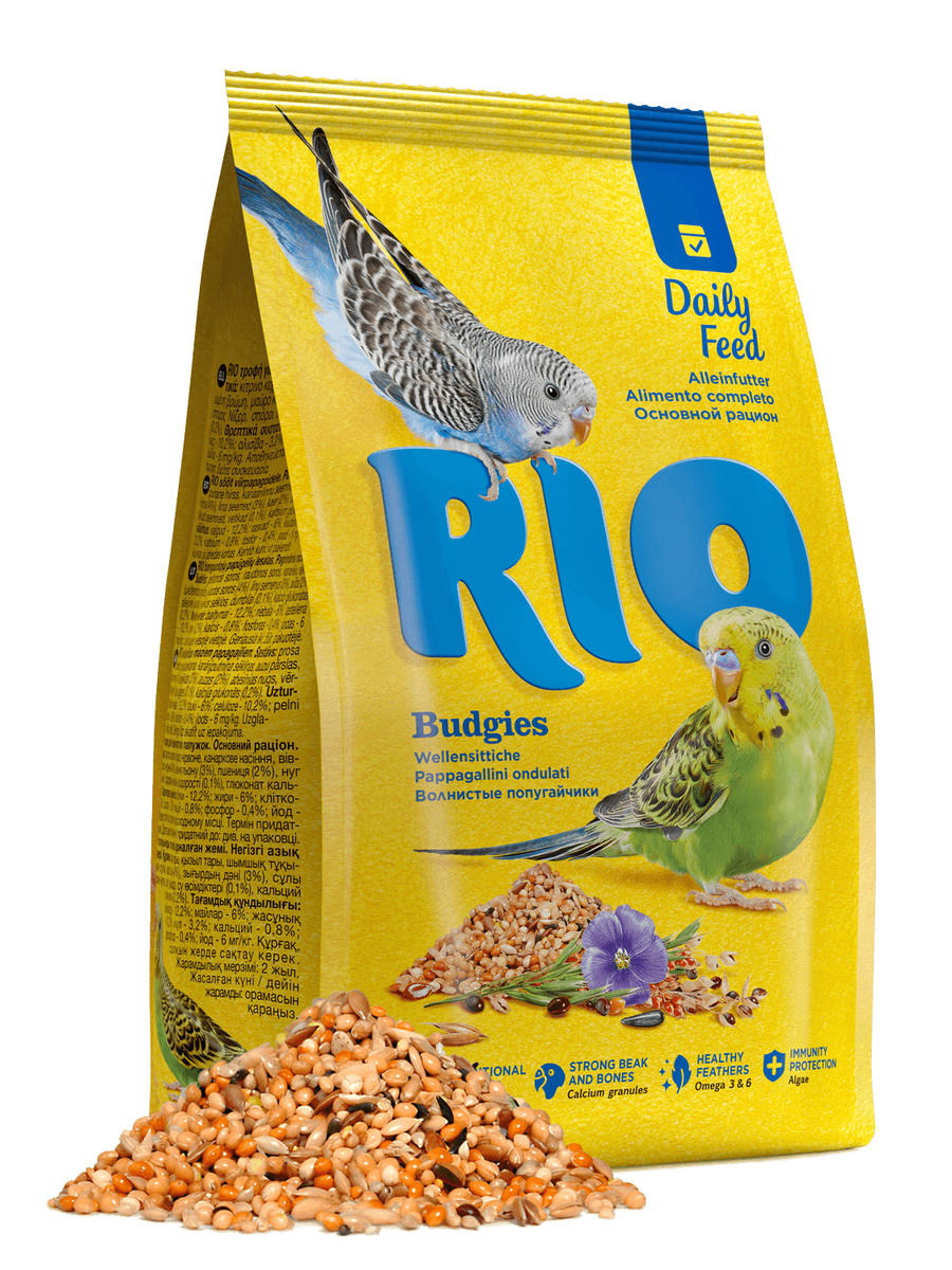 RIO