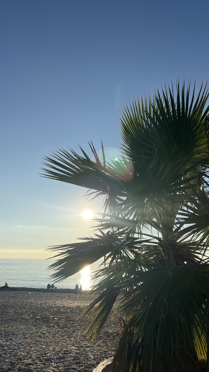 Пляж Ласточка (часть пляжа Куба), Мамайка, Сочи. 