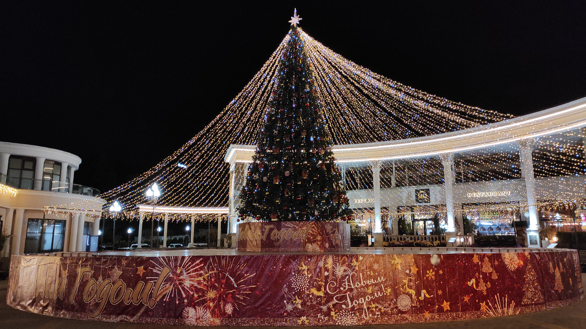 Красивая, яркая и... осенняя новогодняя елка! Фото: Кирилл Полиенко/Polienko: путешествуем вдвоём