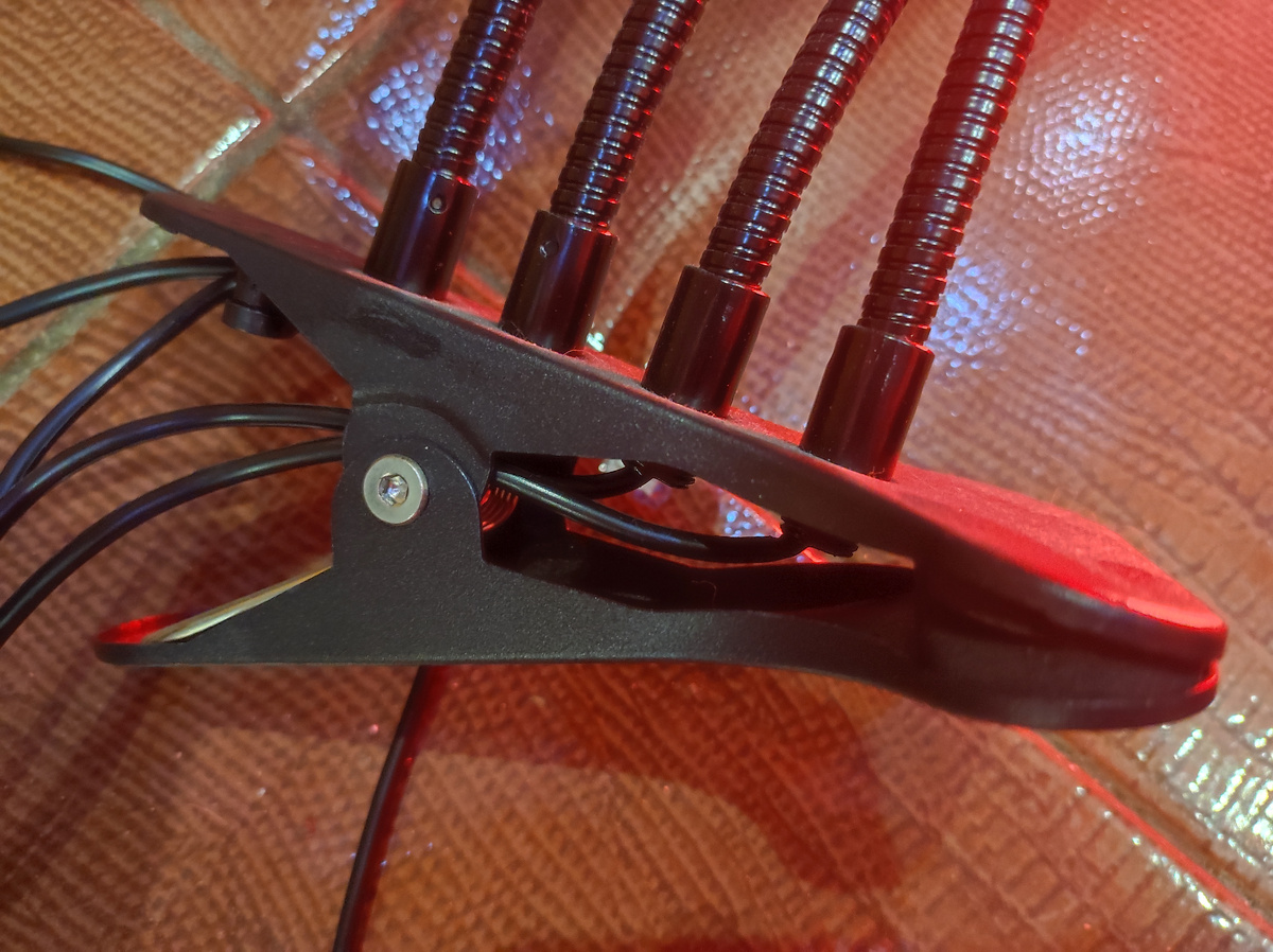 Фото автора, фитолампа для растений, ноябрь 2024 года