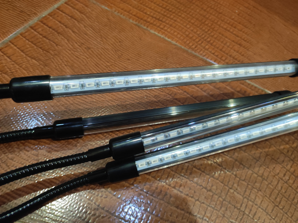 Фото автора, фитолампа для растений, ноябрь 2024 года