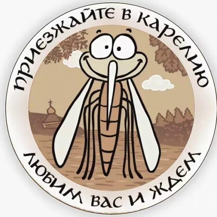Ради них и развиваем туризм в Карелии, местные не вкусные - работаем на комаров;)