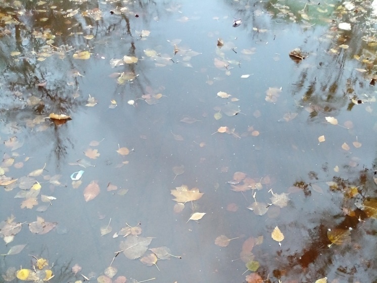     Фото: Вячеслав Коротин