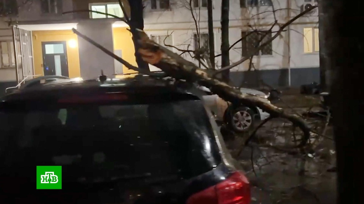    Несколько человек пострадали в Москве    из-за    шквалистого ветра