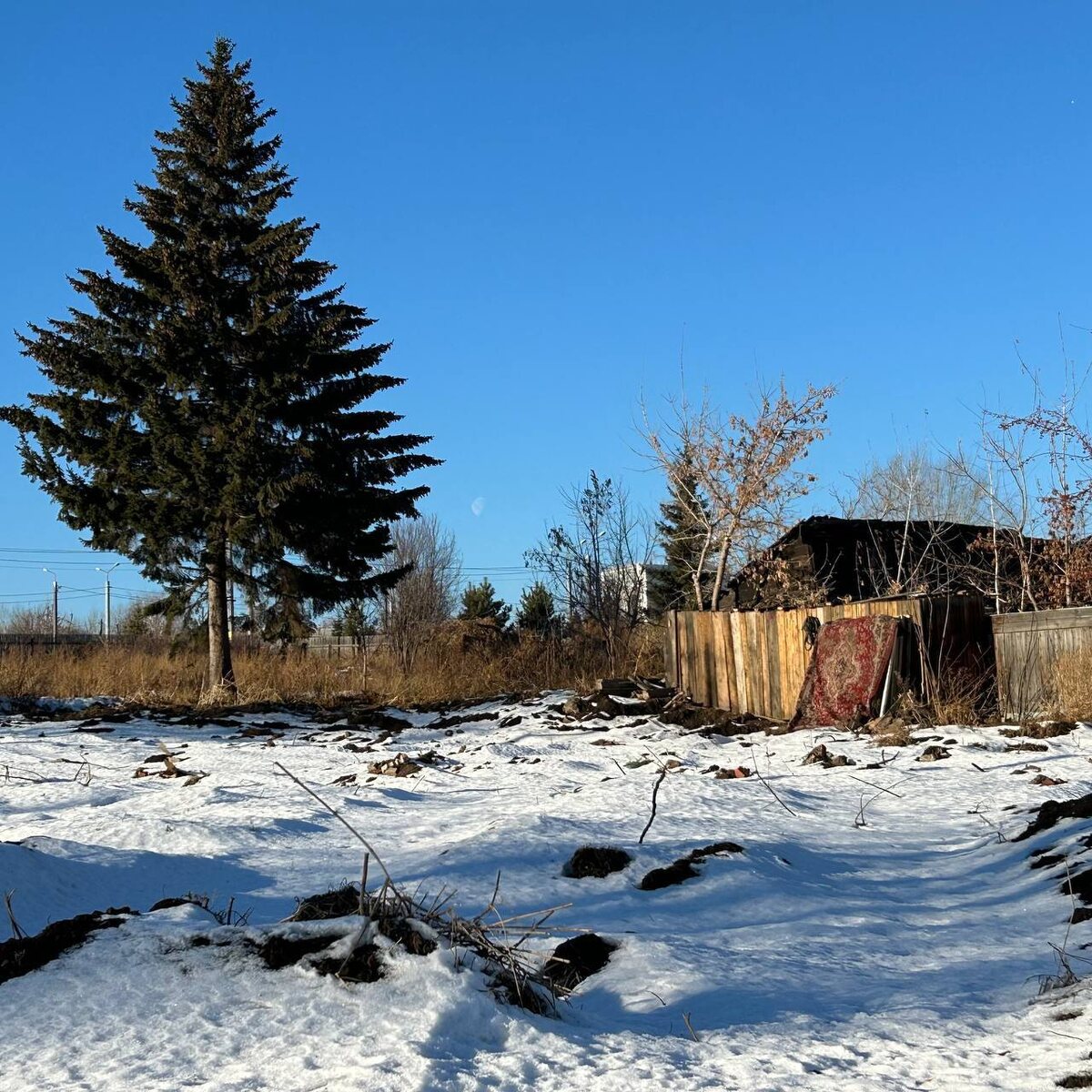    Фото: Telegram-канал «Градостроительный вестник»