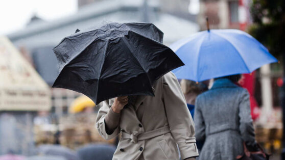    Синоптики предсказали скорое возвращение в Москву дождей Андрей Галкин