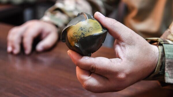    © РИА Новости . РИА Новости