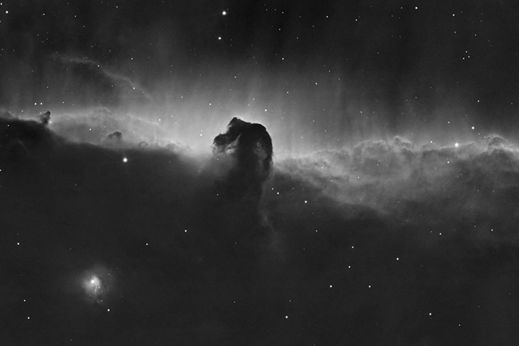    Фото Алексея Полякова