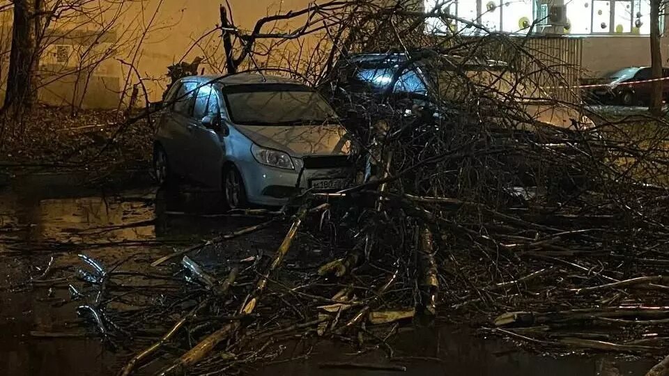 На улице 26 Бакинских Комиссаров при шторме дерево упало на автомобили. Фото: Москва с огоньком