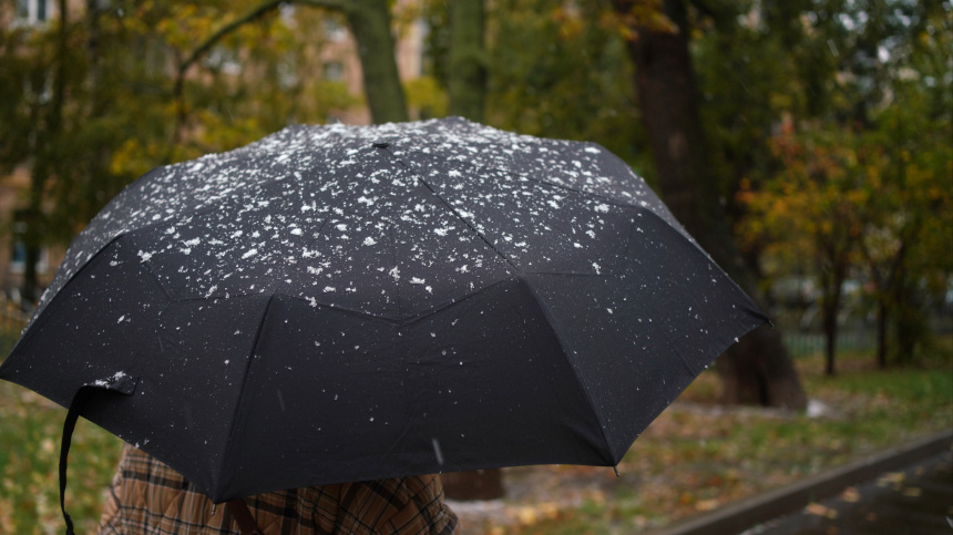    Фото: ИЗВЕСТИЯ/Анна Селина; ИЗВЕСТИЯ/Андрей Эрштрем; 5-tv.ru