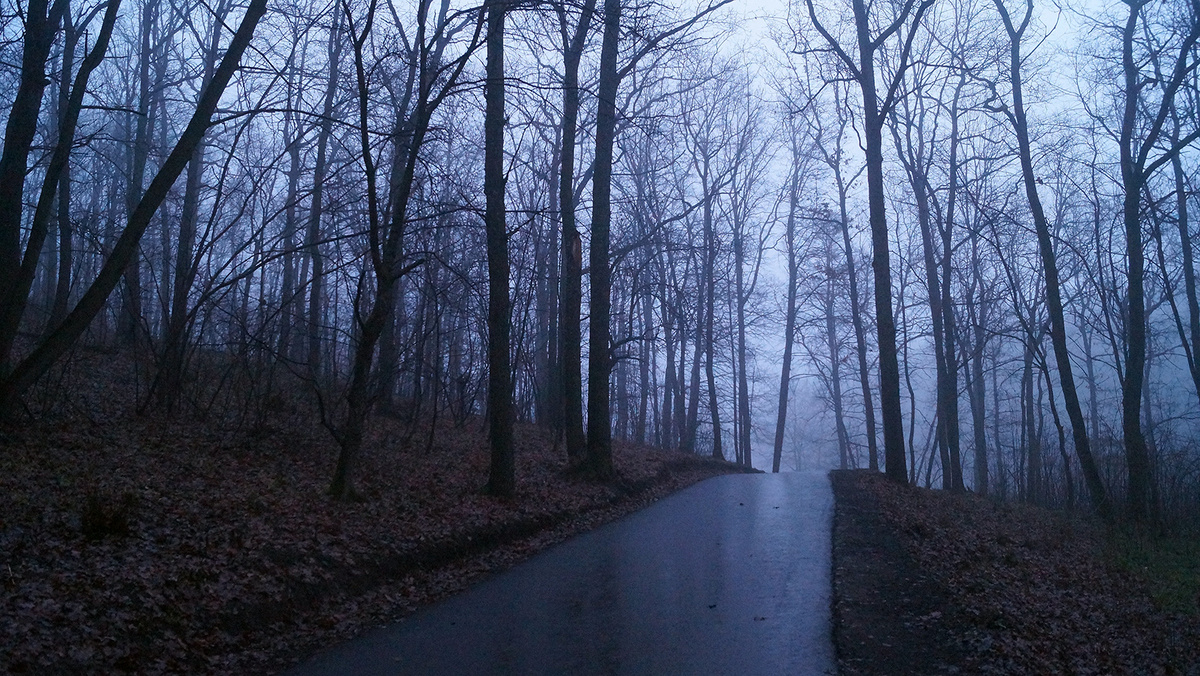    Фото: Сергей Егоров