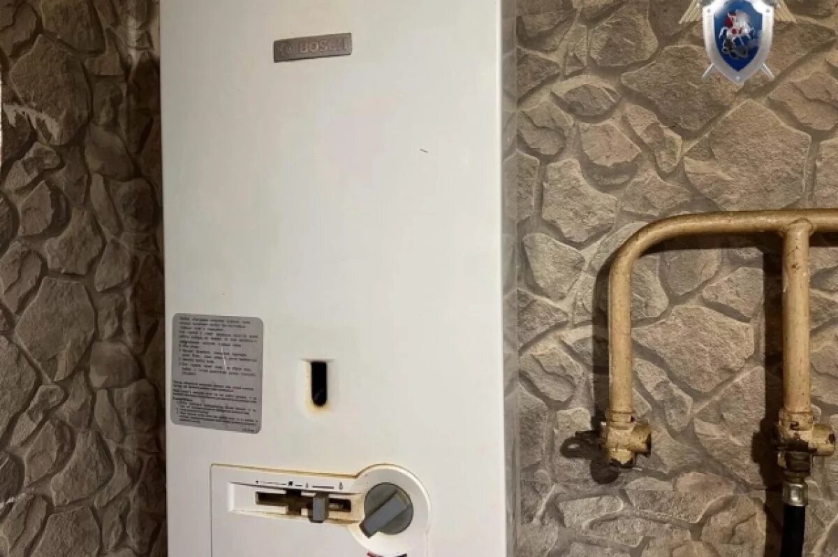    Уголовное дело возбудили после отравления семьи в Кстовском округе