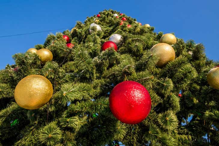    Фото Андрея Заржецкого