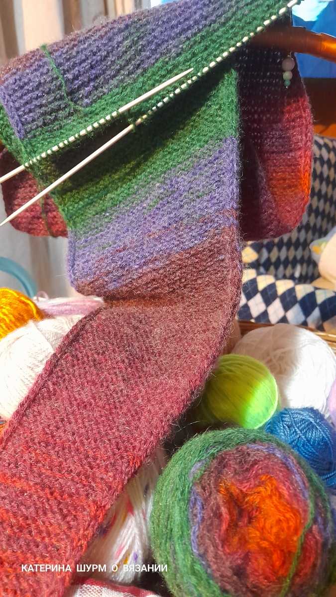 Процесс Катерины Шурм