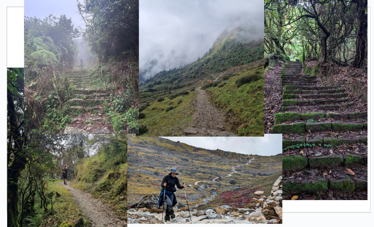 От тропических джунглей до альпийских лугов, а также бесконечные каменные лестницы вверх, и вниз, и снова вверх...