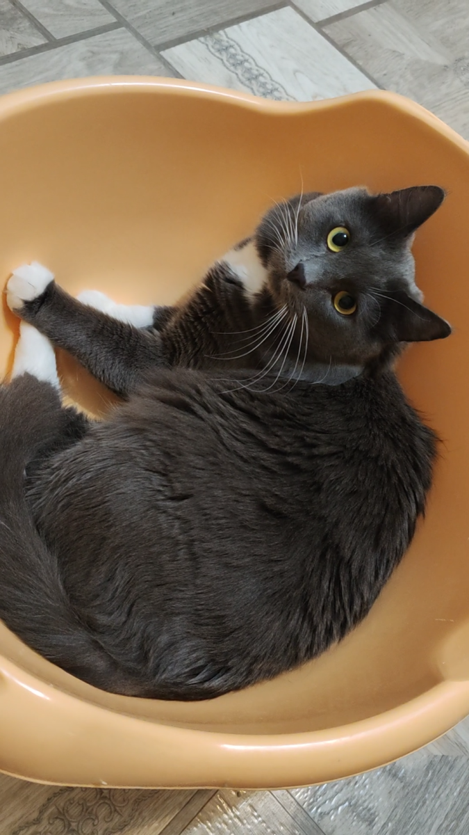 Фото автора канала. 