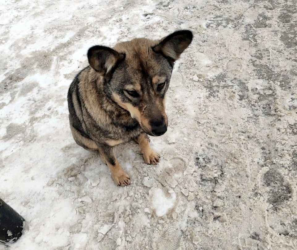 Что делать бедолаге, куда идти?