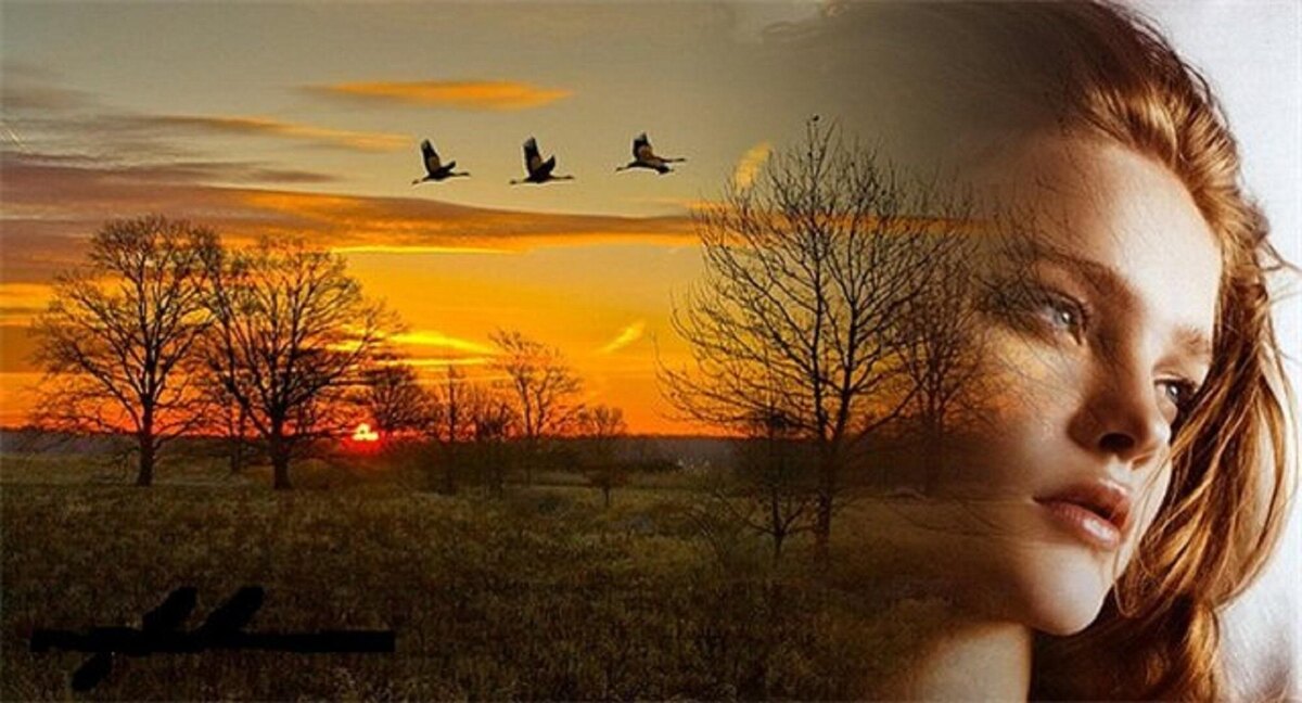 Яндекс.Картинки