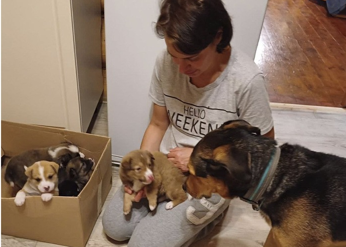 Фото: соцсести 