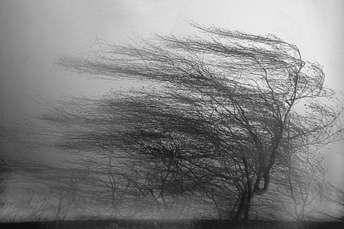 Яндекс картинки.