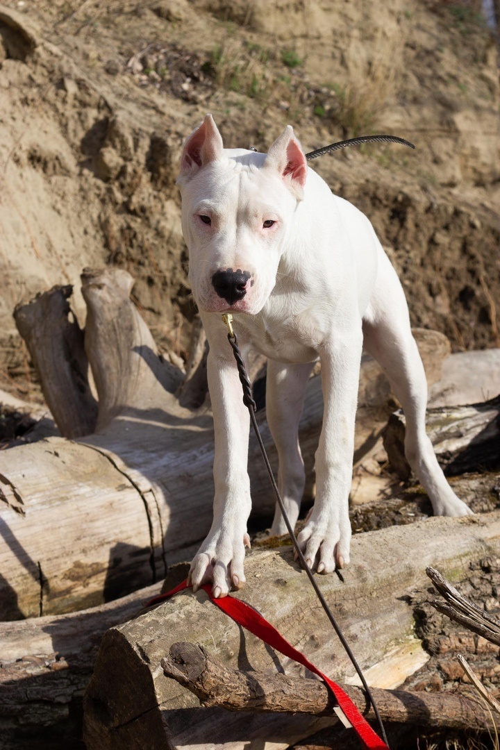 Тут ему 5 месяцев