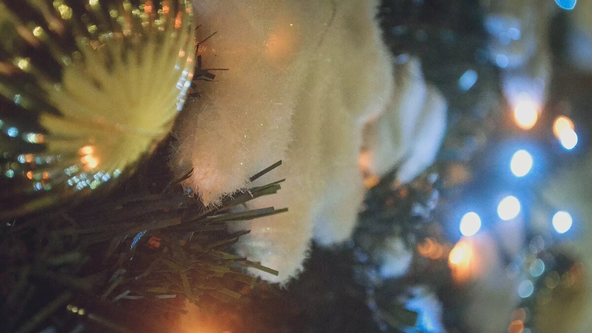     Источник: 1MI