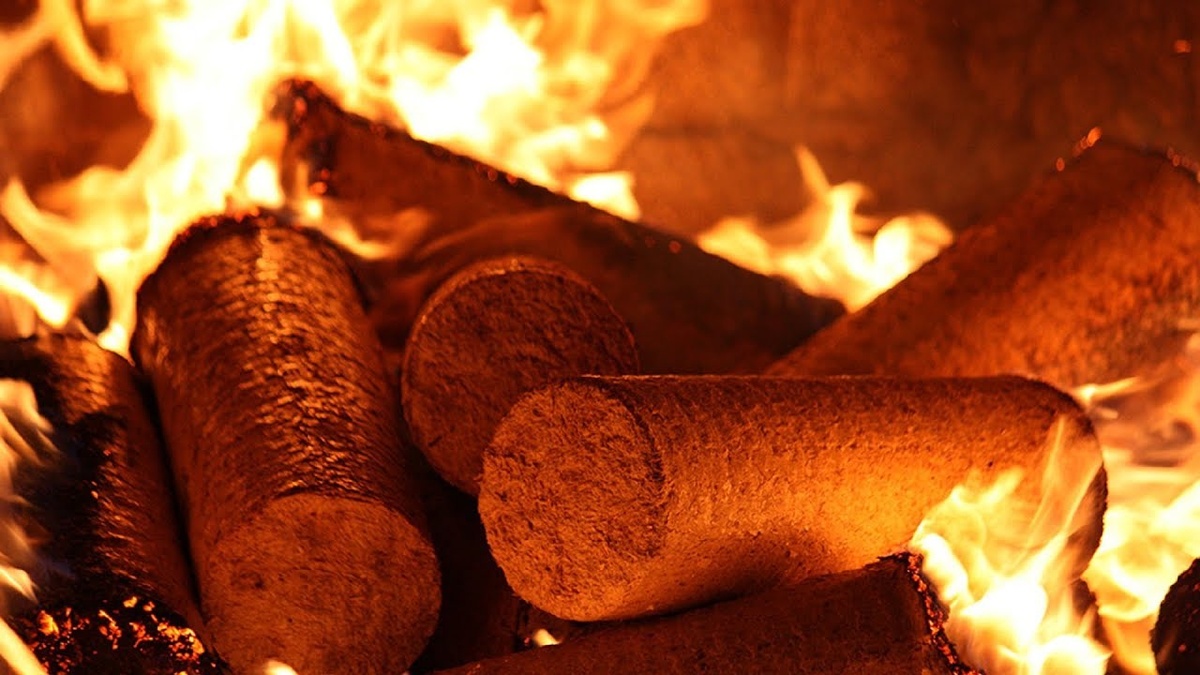 Фото: alterainvest.ru