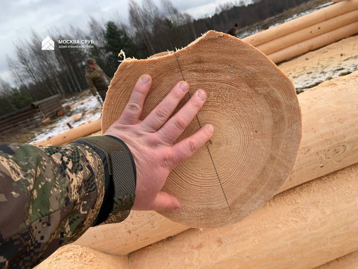 Хвойная древесина. Велиж, Смоленская область.