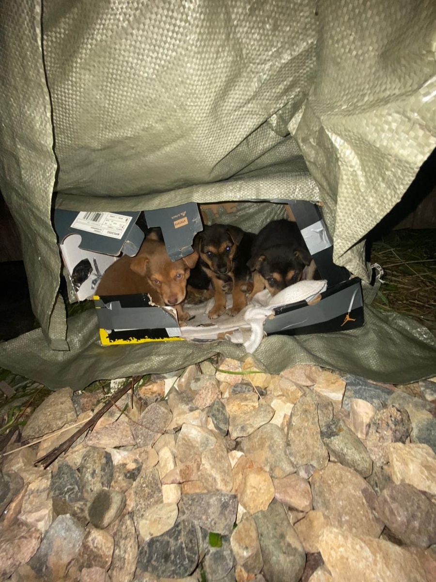 Так они там жили 😞