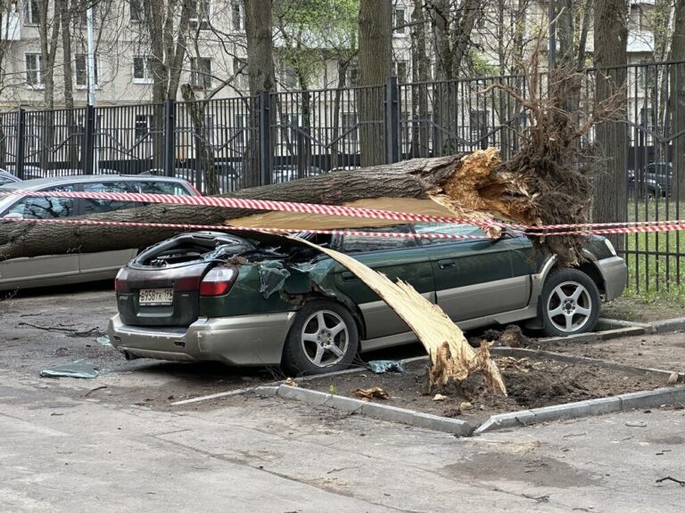    Фото: Агентство «Москва»/Мобильный репортер Илья Мартов